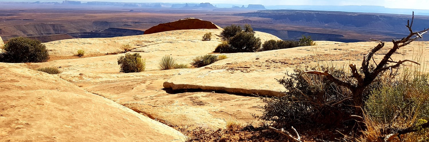 @micromelling banner