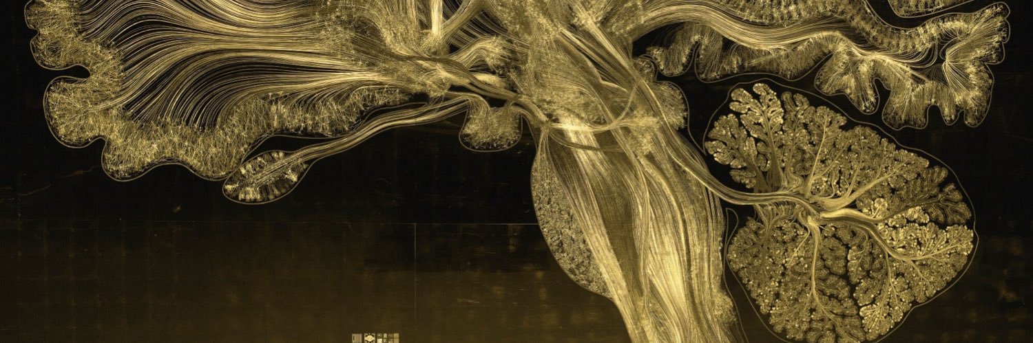 Jason Schwalb MD banner