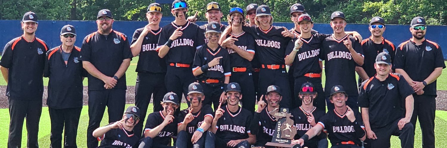 Summerfield Baseball banner