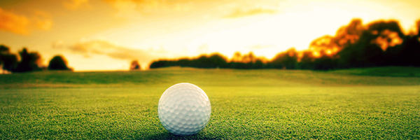 weiweiqi Profile Banner