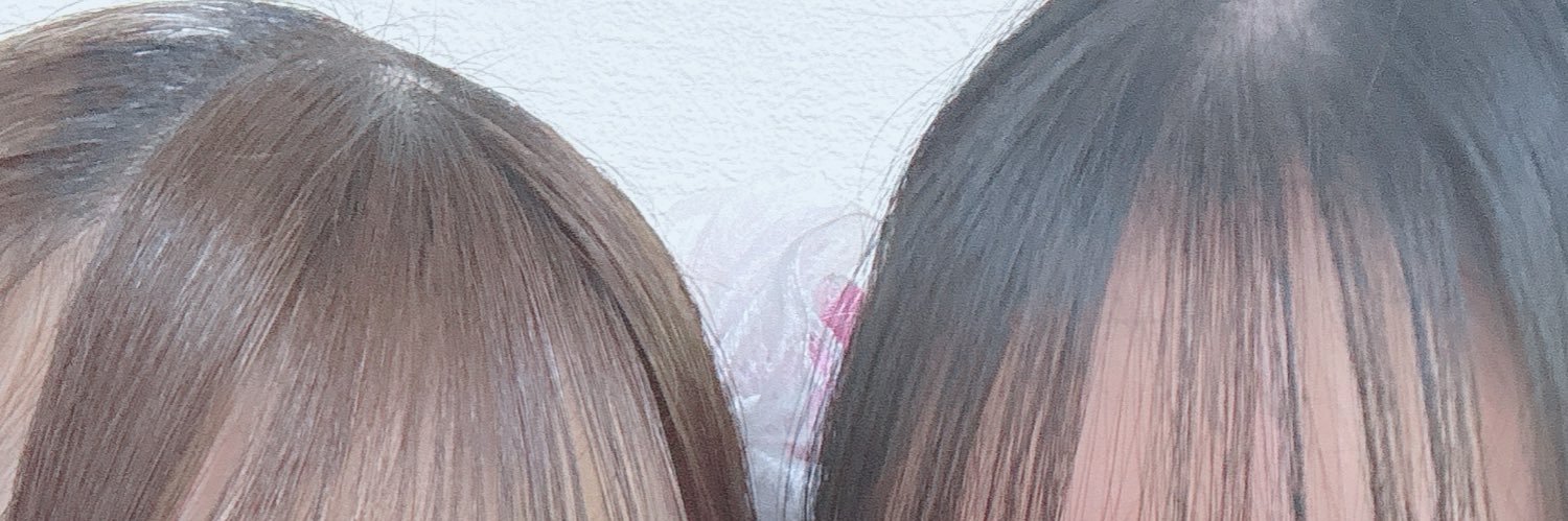 lierin__'s profile banner image