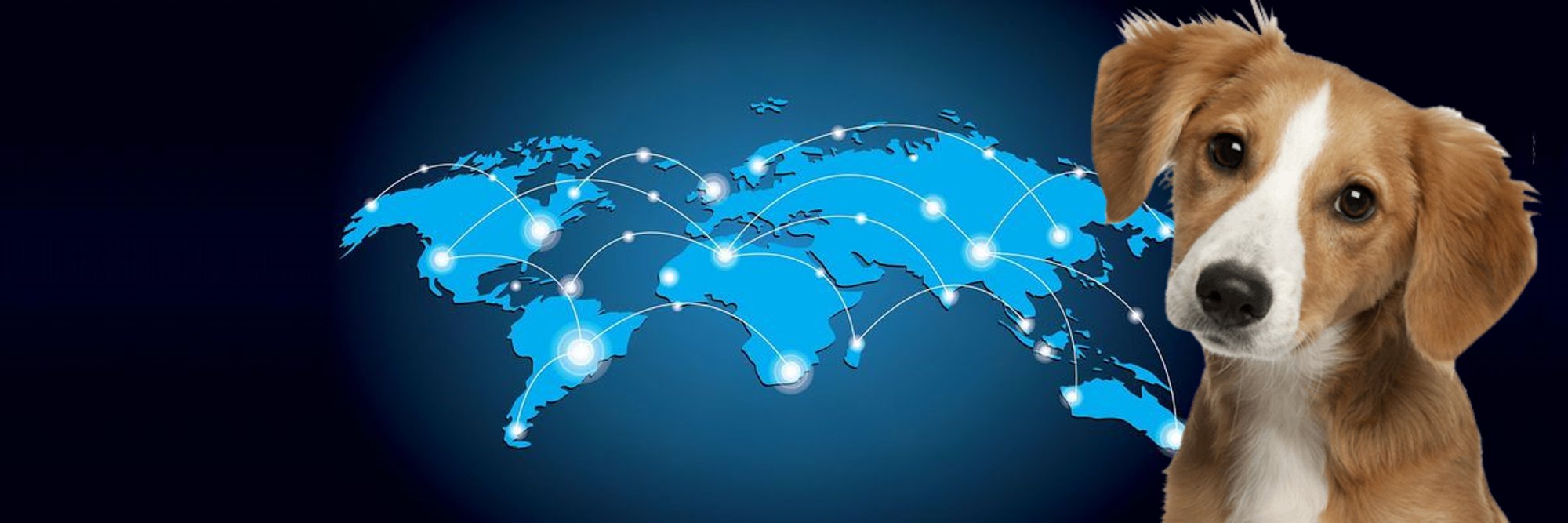 Martien Koster banner