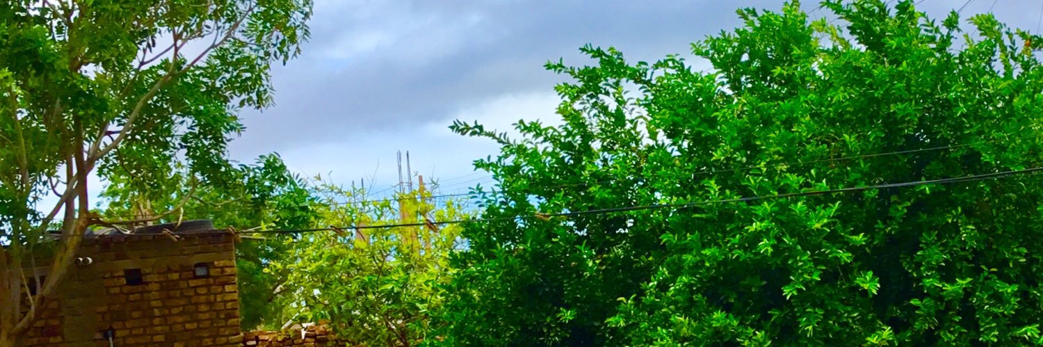 M7mdSyd88's profile banner image