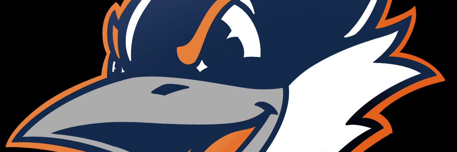 CrowsShinyWings 🇮🇱 banner
