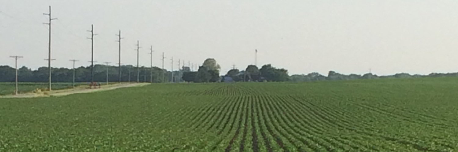 Jeff Ferguson banner