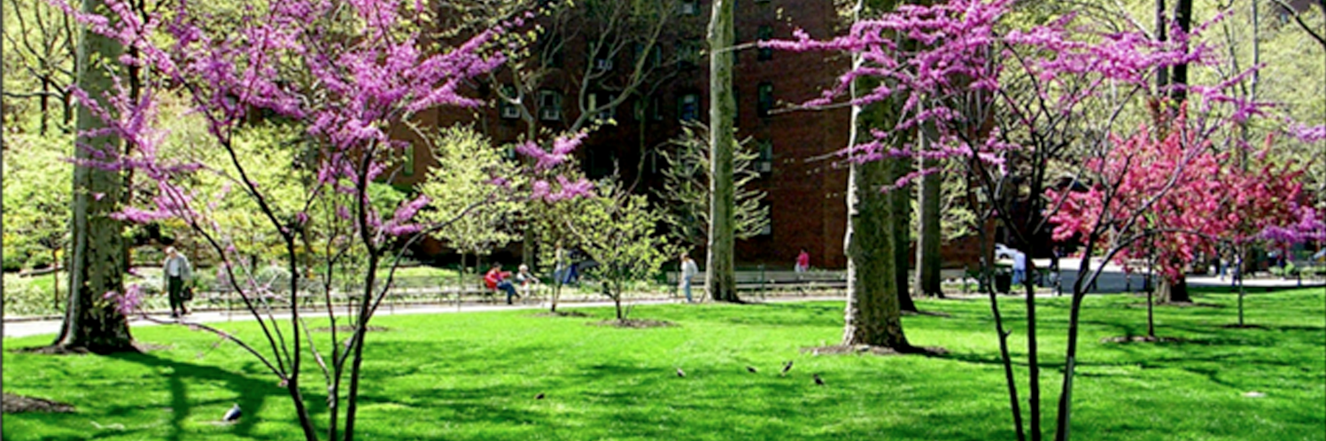ST_PCV_Tenants's profile banner image