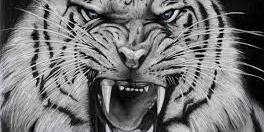 adinda_shaw's profile banner image