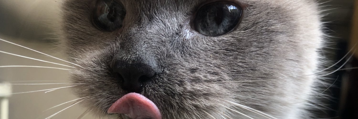AndreaHaertel's profile banner image