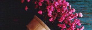 ssoso772's profile banner image