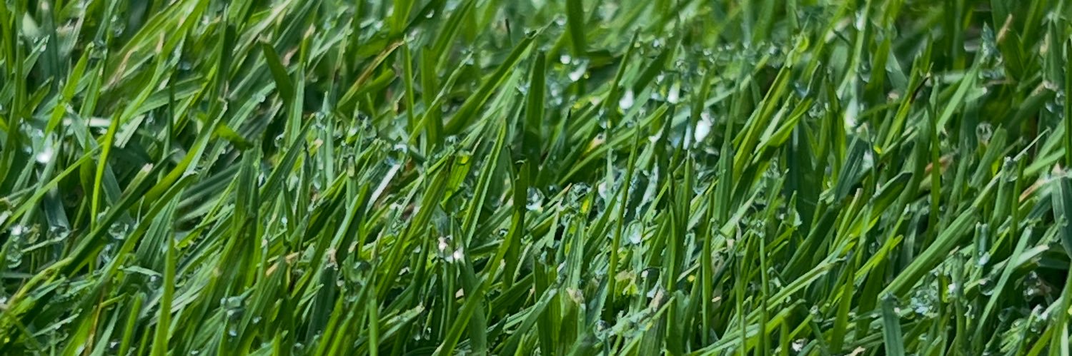 Harry Dilloway banner