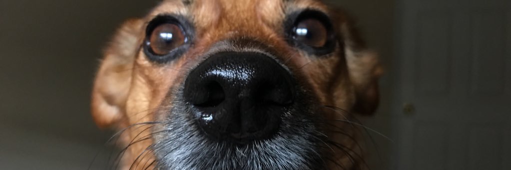 _raee_palmer_'s profile banner image