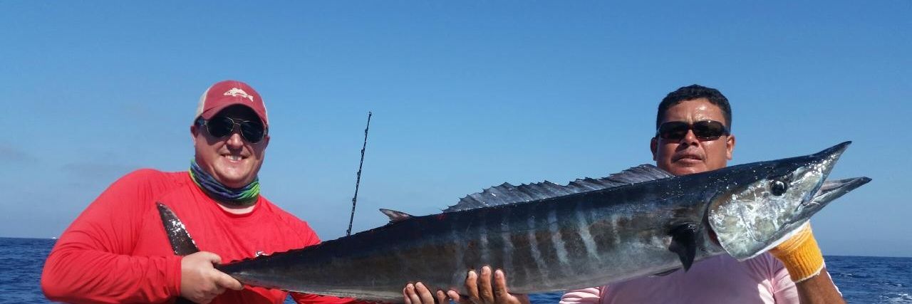 Matthew Quinn banner