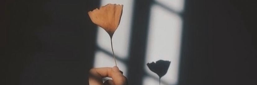 carmenncfdez8's profile banner image
