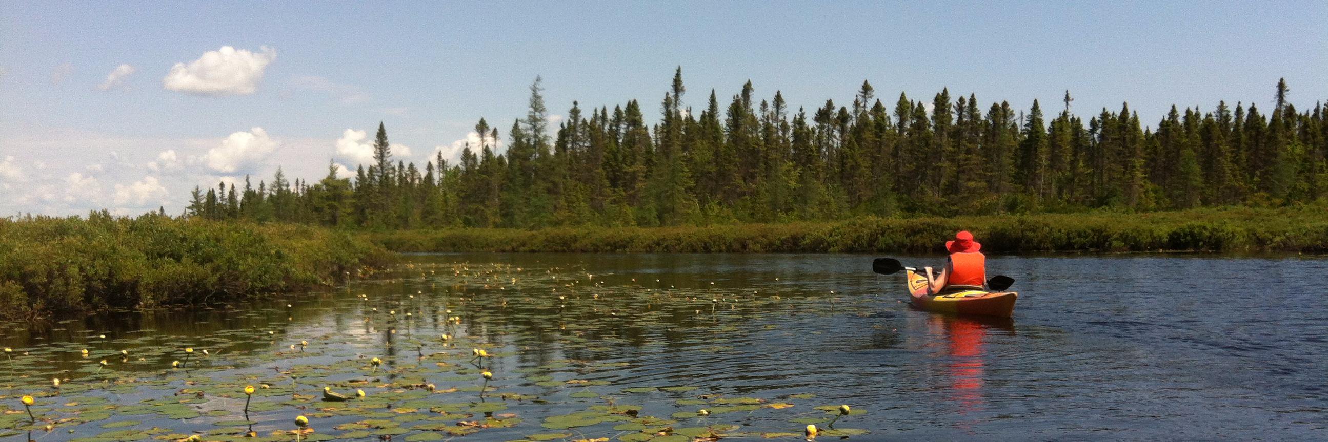 Carl Duivenvoorden banner