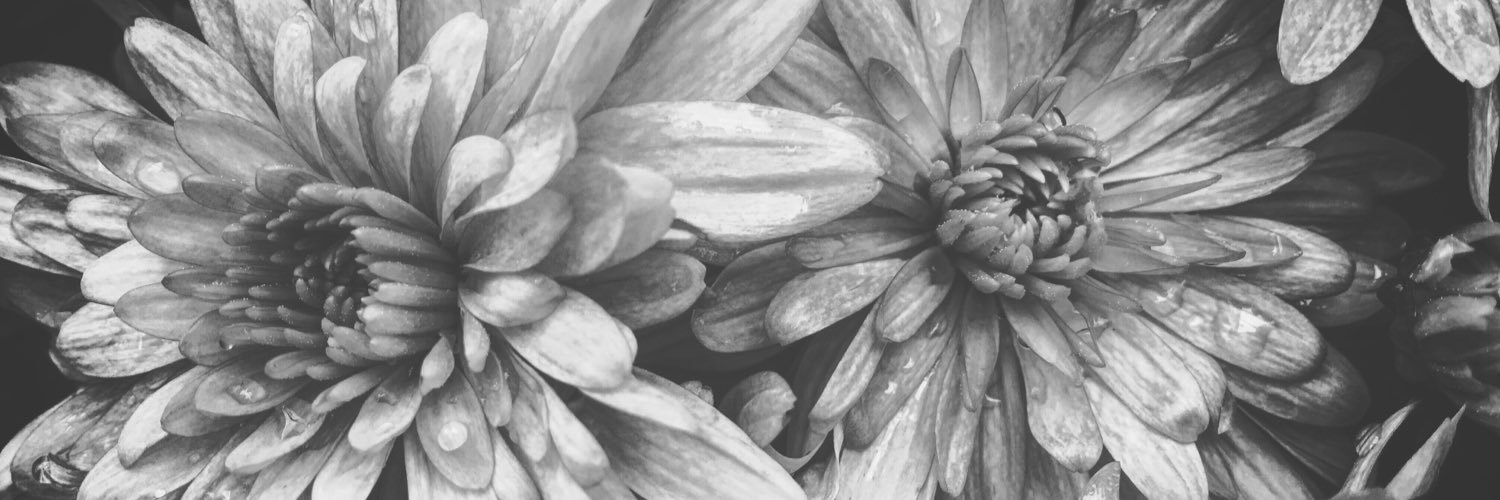 Joystanding's profile banner image