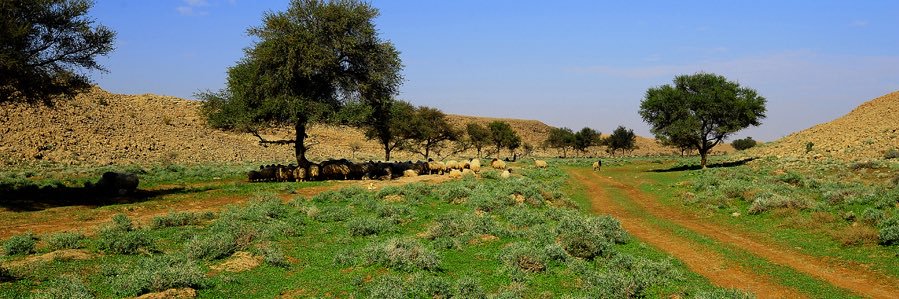 🇸🇦om🌻ⓑⓝⓓⓡ🇸🇦 banner