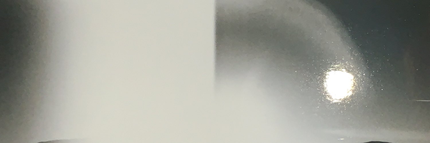 epifylum's profile banner image