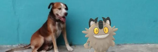 AipomManotas's profile banner image