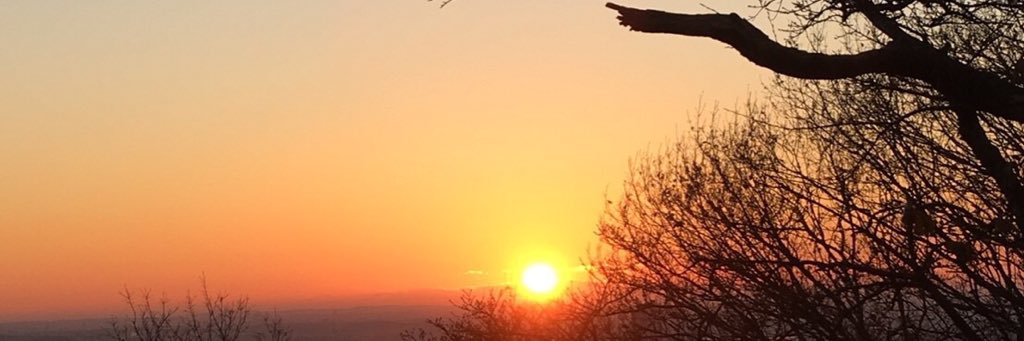 0105No6's profile banner image