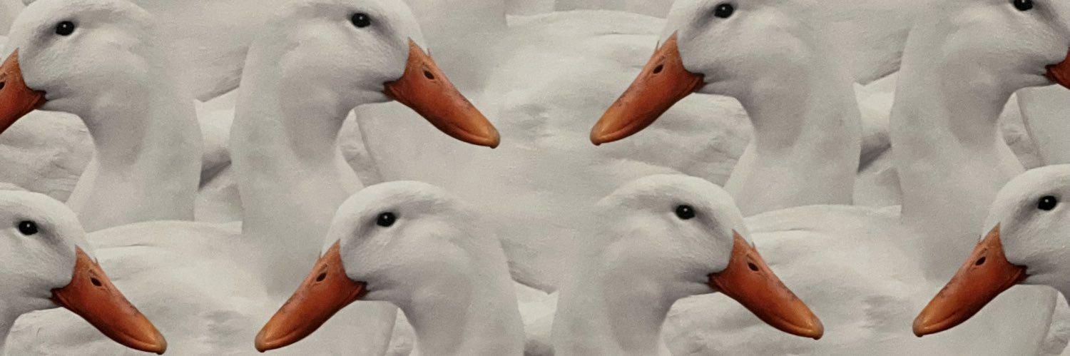 memorrison85's profile banner image