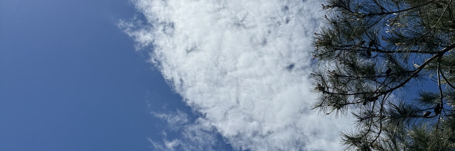 LocasEnamoras's profile banner image