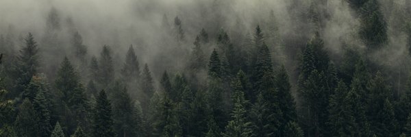 HuntersBlend Profile Banner
