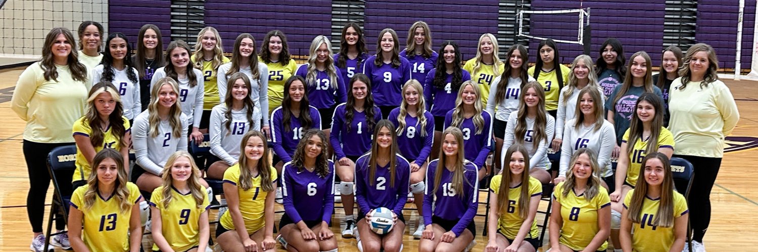 Valley Center Volleyball banner