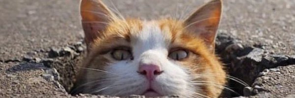 boudet_stephane Profile Banner