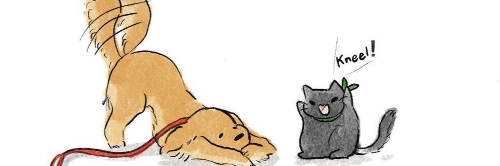 L✨ banner