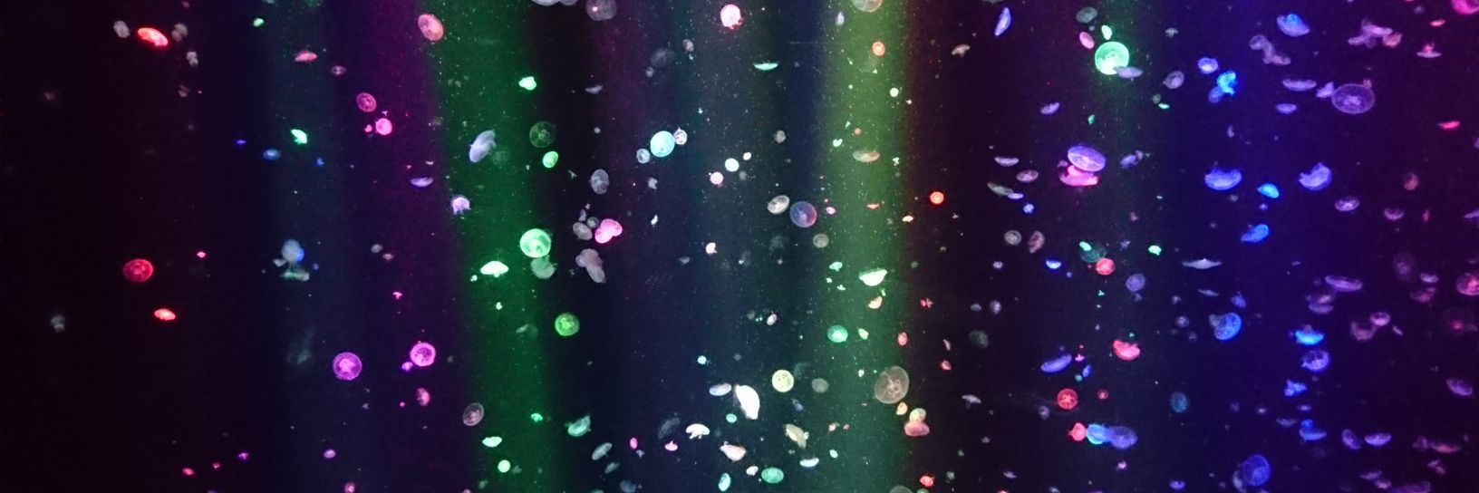 findingsta_r448's profile banner image