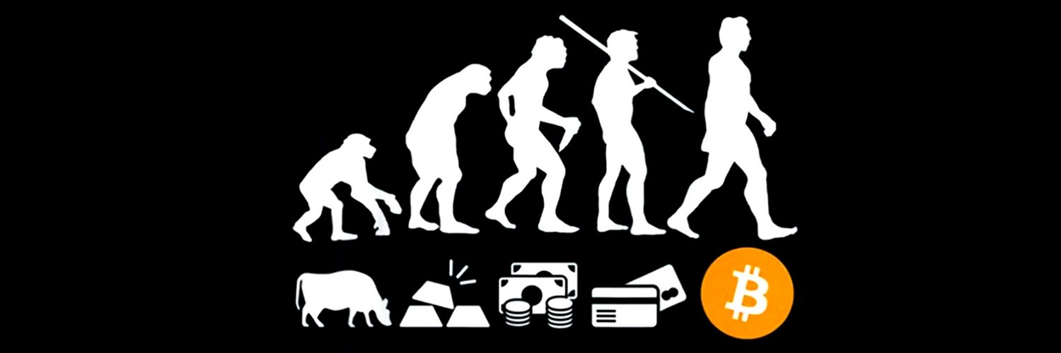 Crypto Pal _ 𝕏 banner