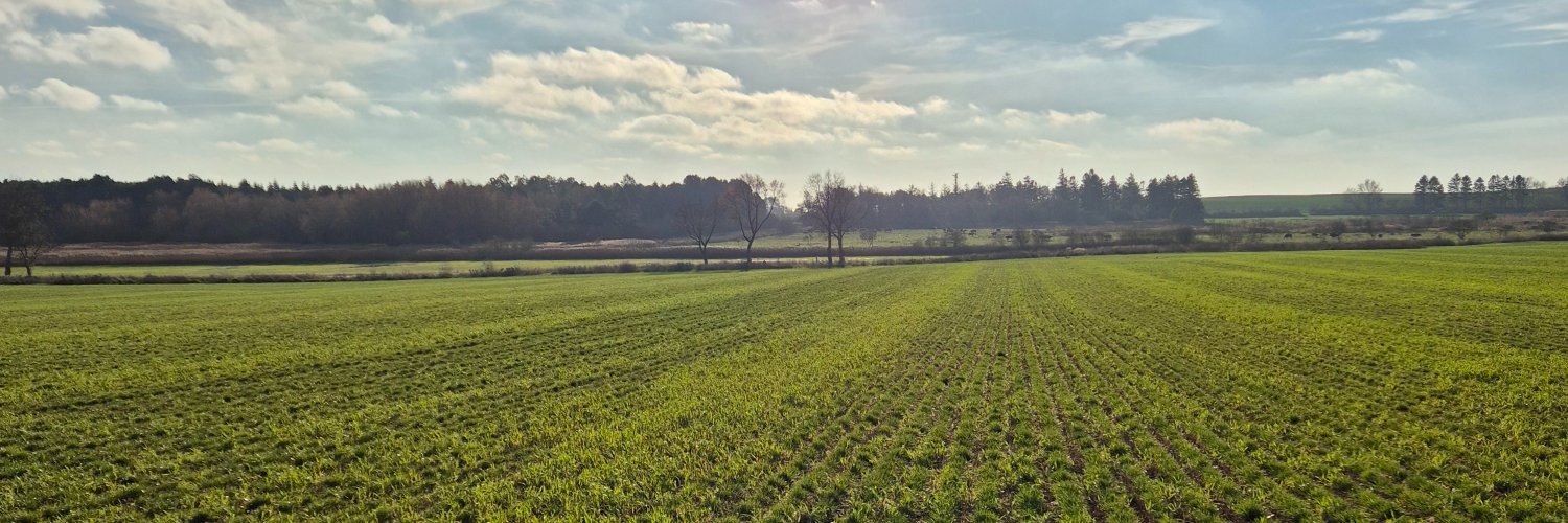 kasras43's profile banner image