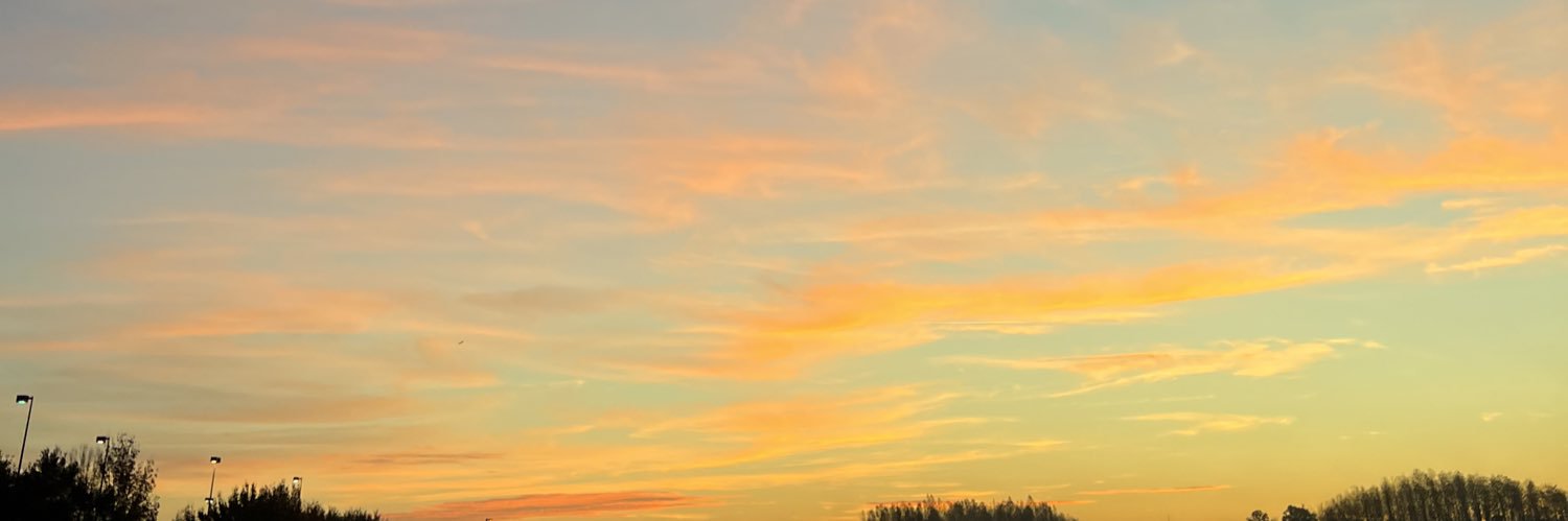 nashaly1201's profile banner image