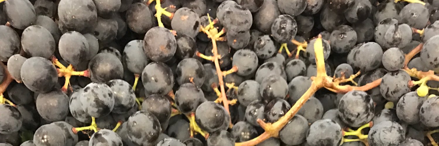 LapostolleWine's profile banner image