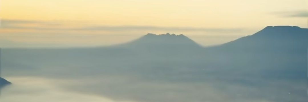 まめ🫛 banner
