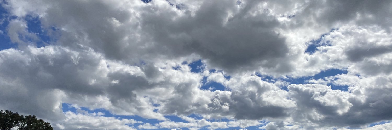 staccee_'s profile banner image