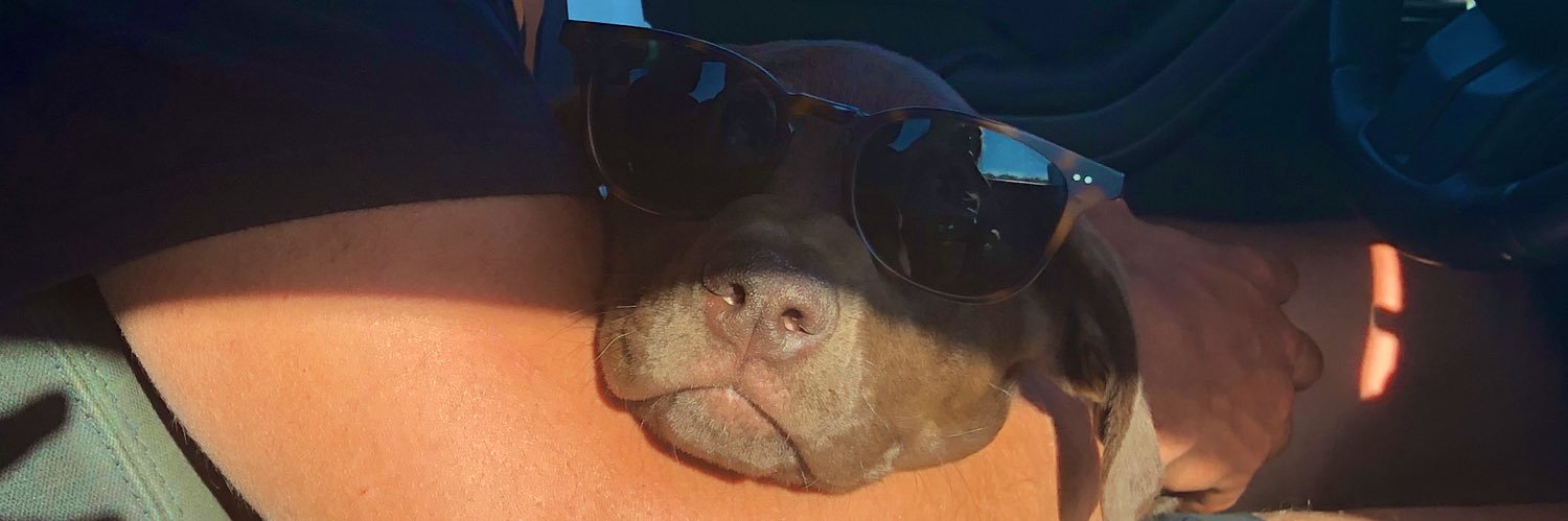 Taylor Williams banner