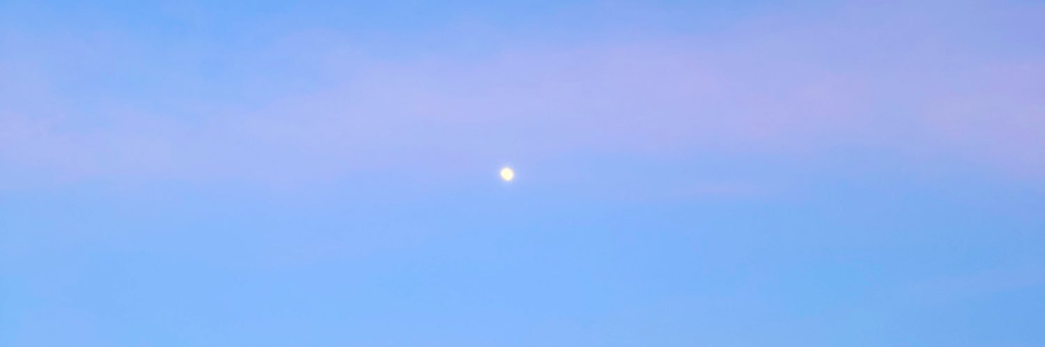 雪定🌨 banner