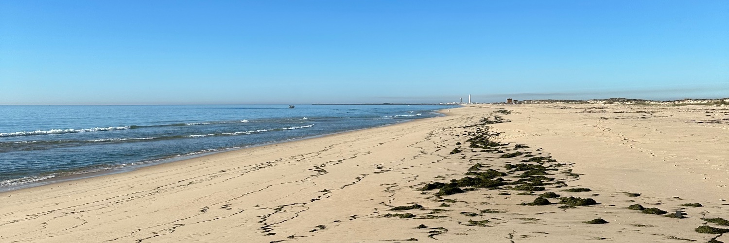 Daniel Ibáñez banner