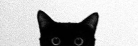 Bin. banner