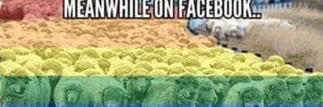 Smileytheman's profile banner image