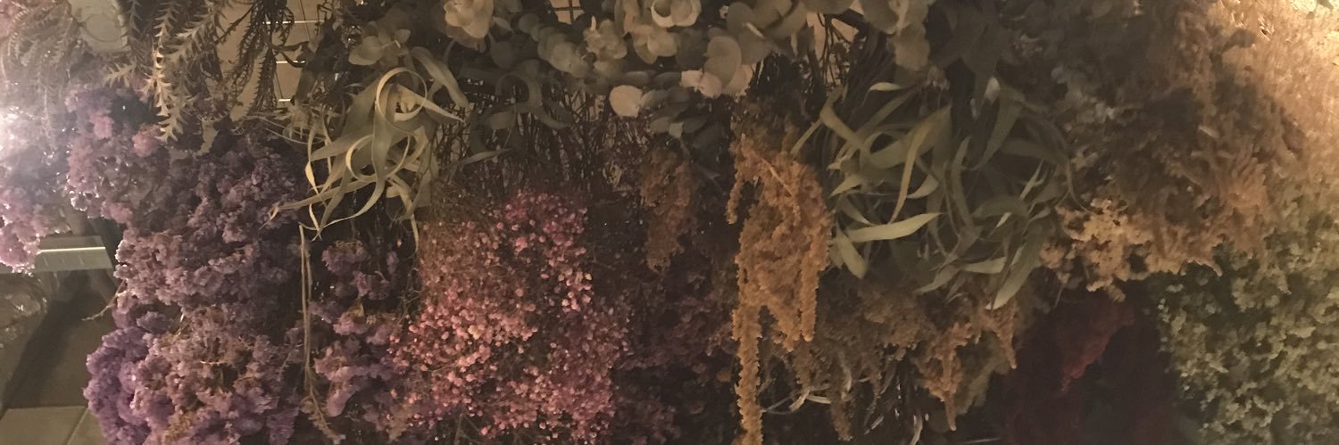 eika625's profile banner image