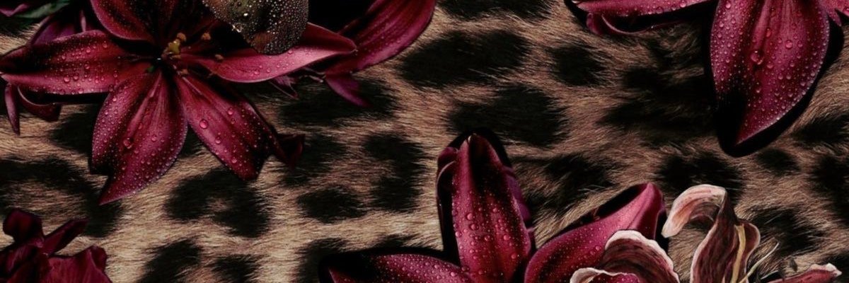 violeta⋆𐙚₊˚⊹♡ banner