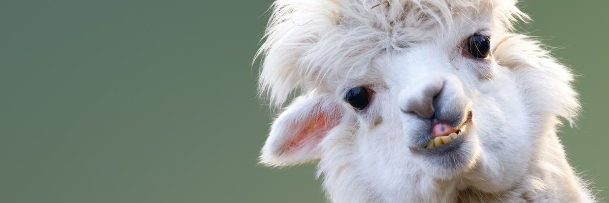 billycorgvng's profile banner image