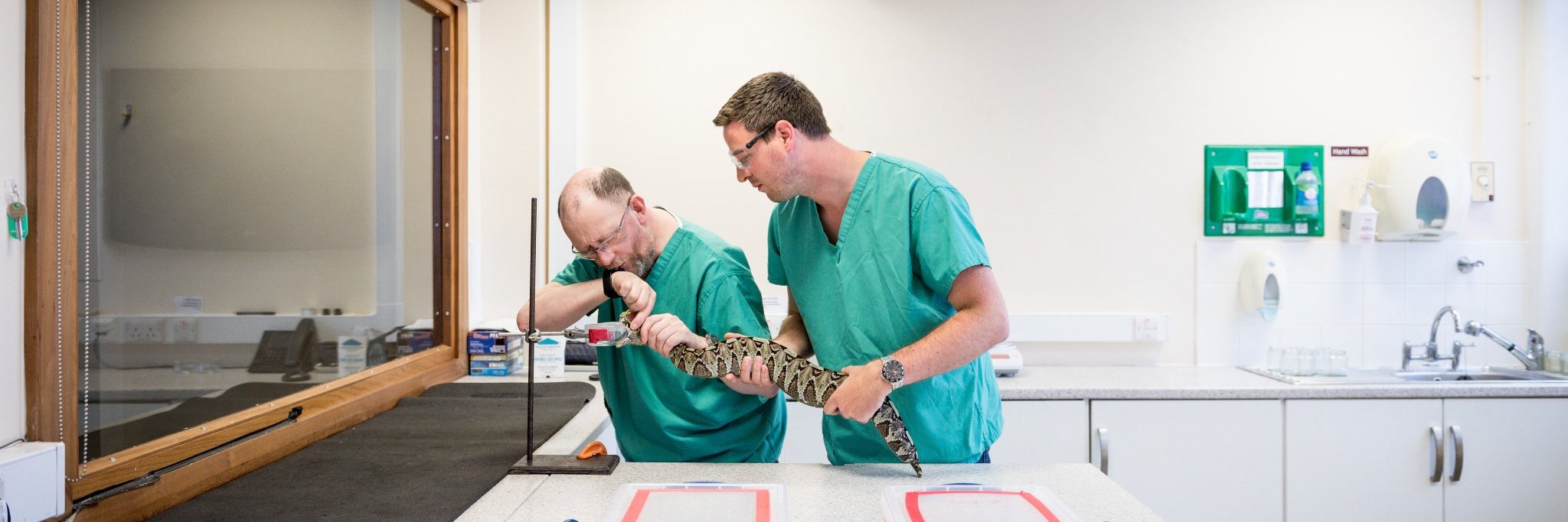 Centre for Snakebite Research & Interventions's banner