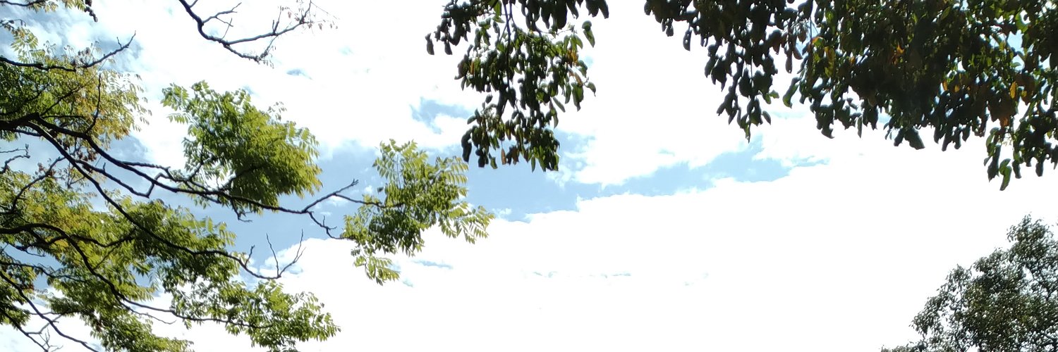 springintheair7's profile banner image