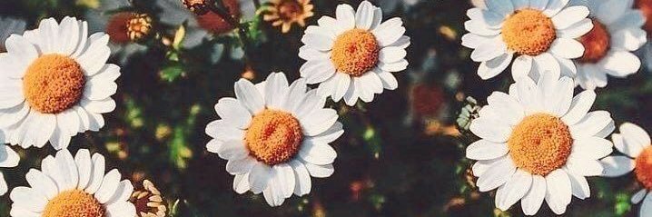 Marta_CMN's profile banner image