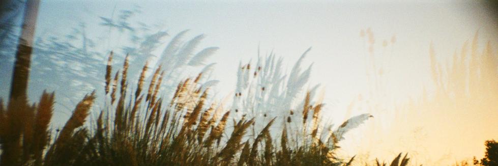 Marina Chikaliuk banner