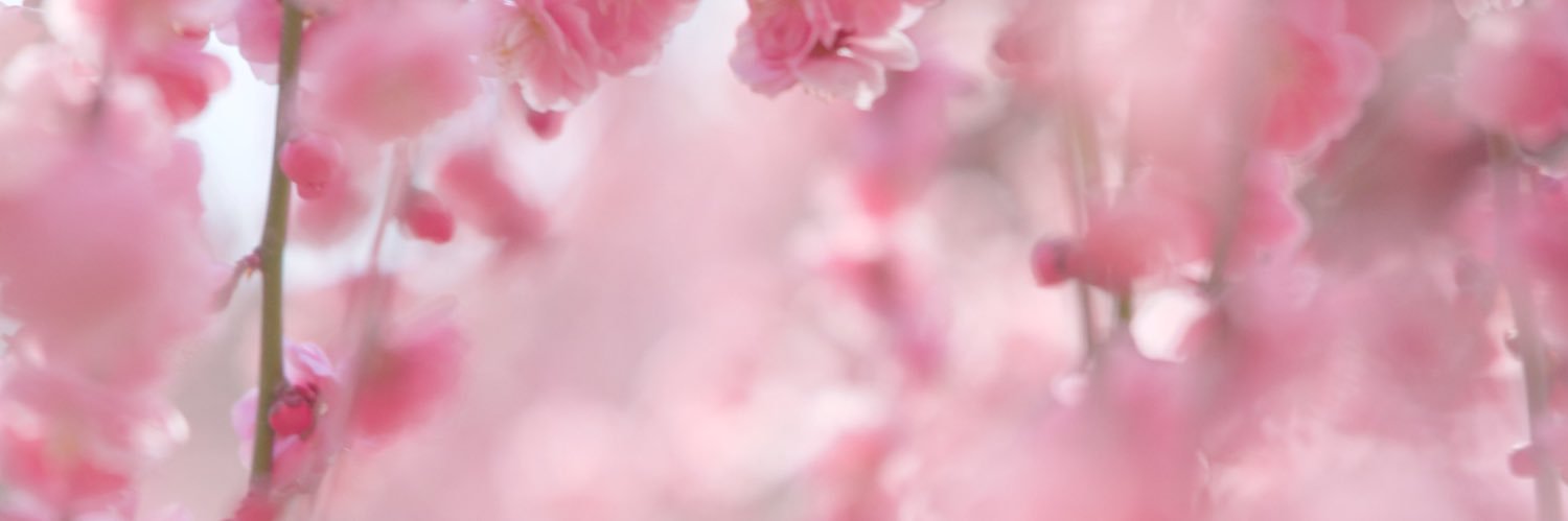 kiguma's profile banner image