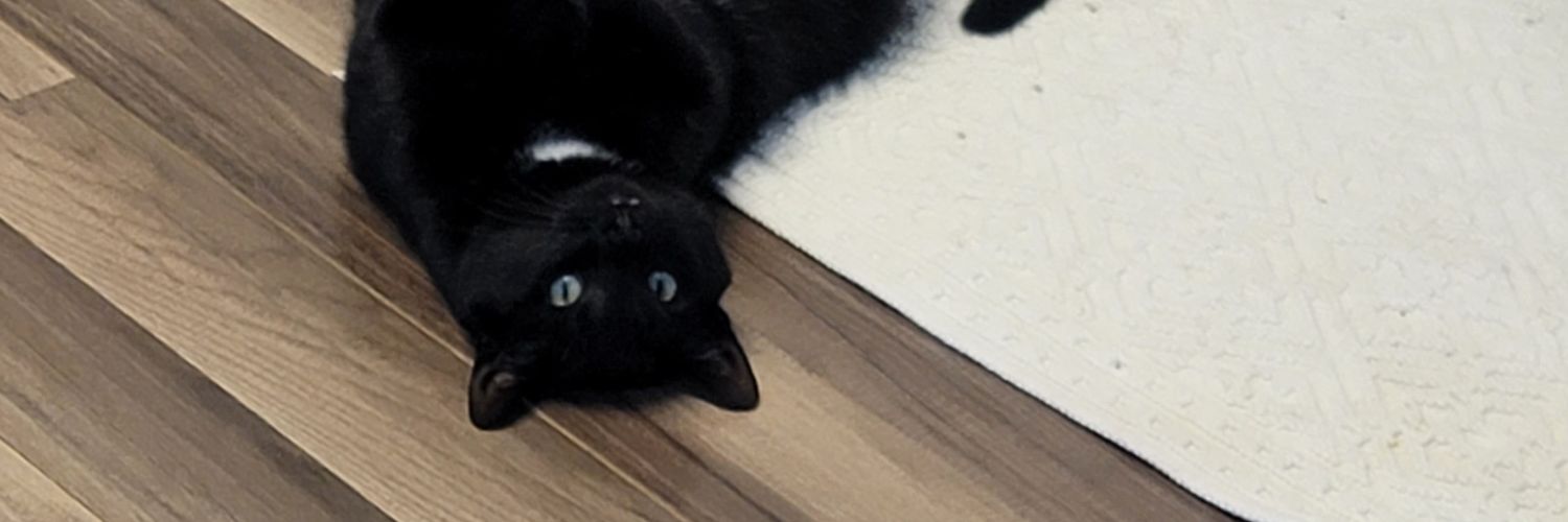 GizmosStepdad's profile banner image